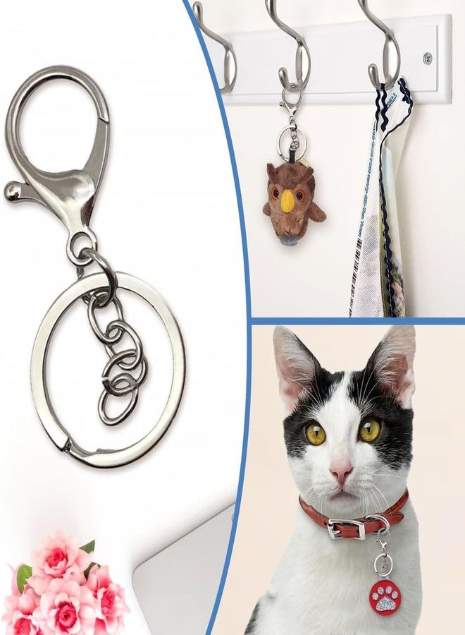 Evaluemart 10 PCS Lobster Claw Clasps with Jump Ring and Extension Chain, Swivel Snap Hooks for Jewelry Making DIY Keychain Craft Project, Silver - Image 5